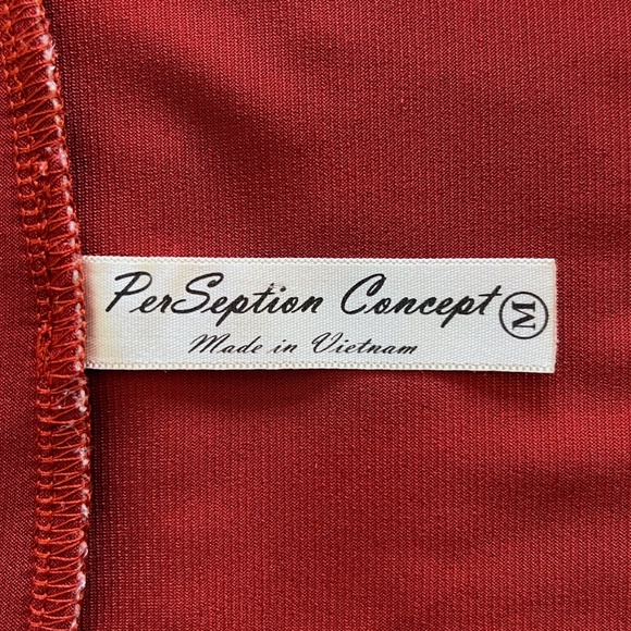 PerSeption Concept Rust Orange V Neck Blouse - Picture 3 of 4